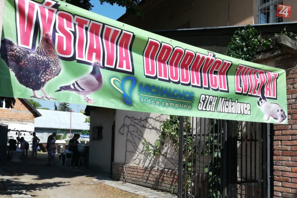 OBRAZOM: Zvieratká pri michalovskom námestí