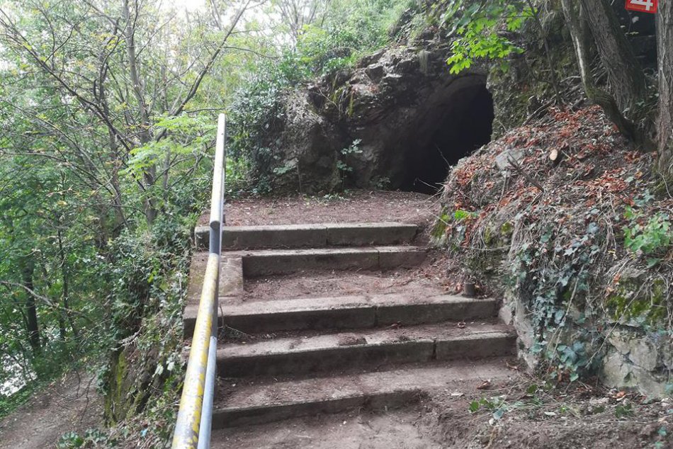 Hradný kopec ožil: Dobrovoľníci vyčistili lesné chodníky na Nitriansky hrad, FOT