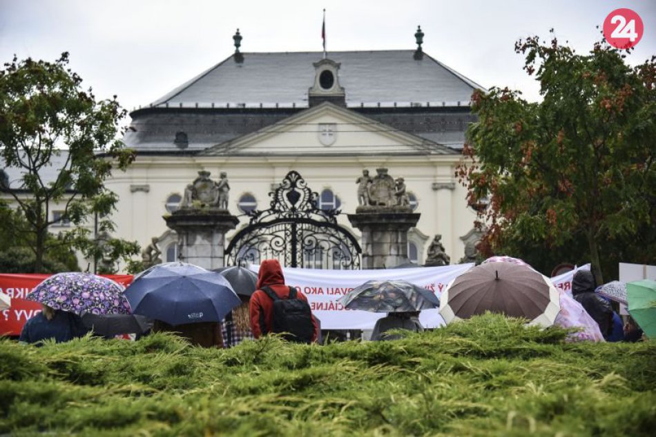 Protest reštituentov