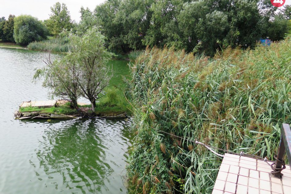 Ostrovček na Štrkovci