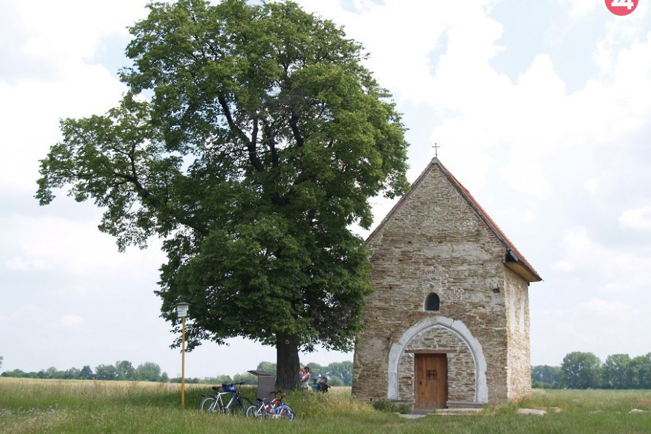 OBRAZOM: Lipa z Trnavskej župy sa ocitla v ankete Európsky strom roka 2019