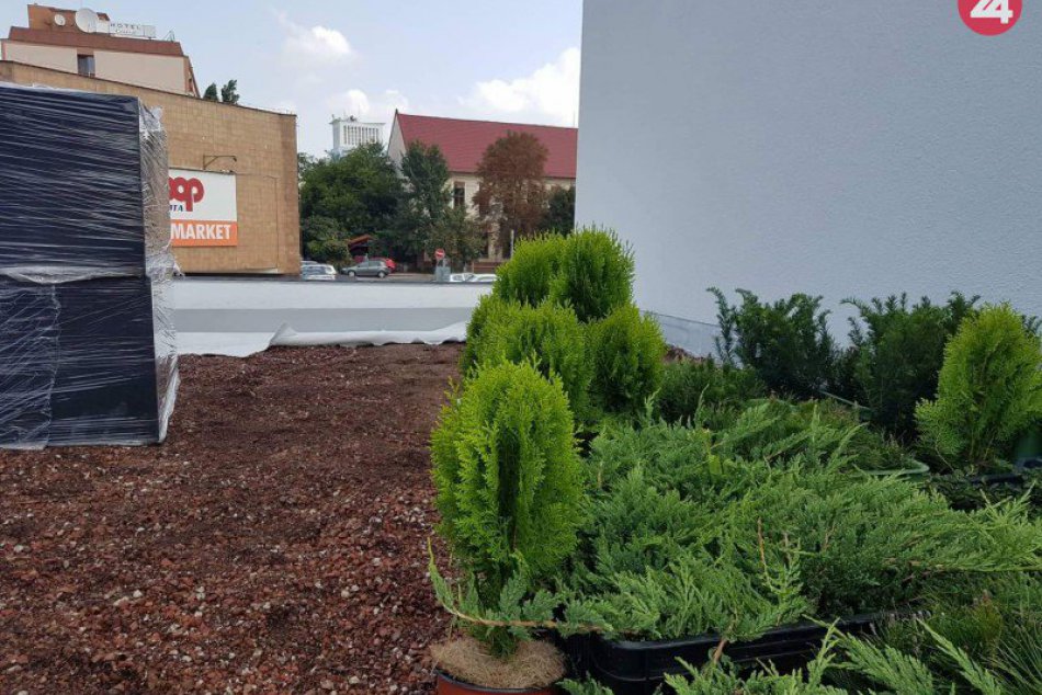 FOTO, Strecha šalianskej radnice bude zelená: Vysadia ju tujami aj rozchodníkmi