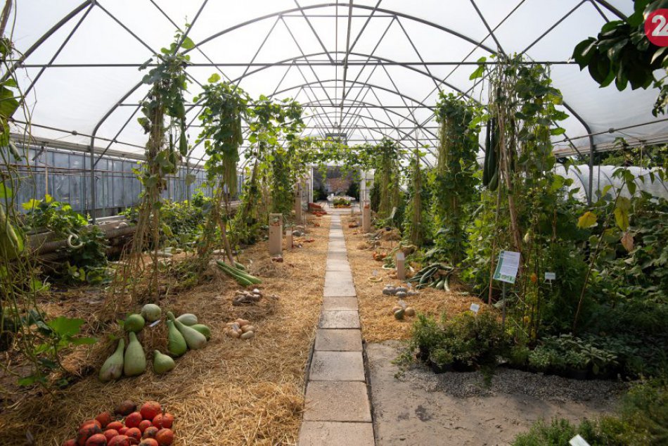 Botanická záhrada v Nitre