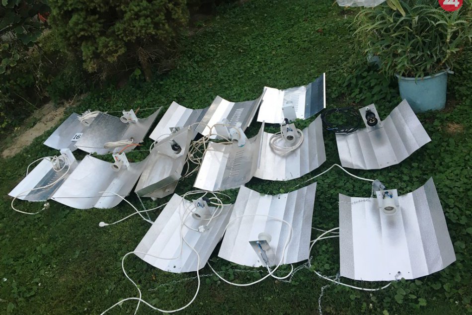 Veľký zásah NAKA: Zrušila marihuanové pole, polícia obvinila sedem osôb