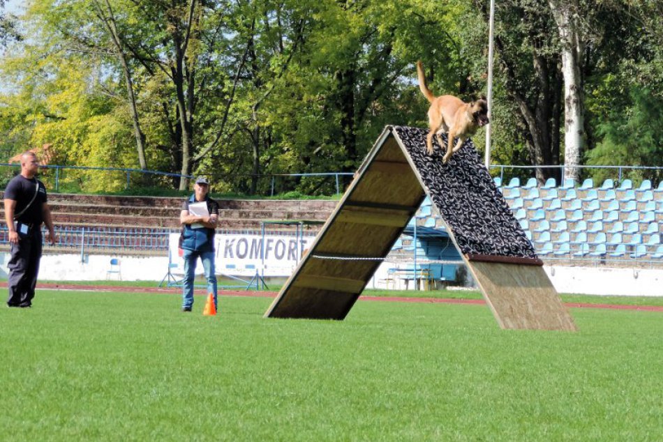 3. ročník medzinárodného obranárskeho preteku služobnej kynológie