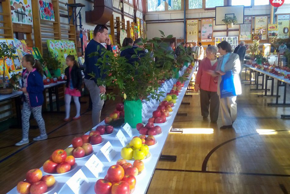 V OBRAZOCH:  52. ročník oblastnej výstavy ovocia, zeleniny a kvetov v Nemšovej