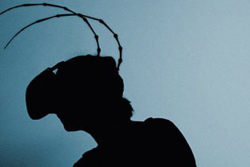 Kafkova Premena virtuálne