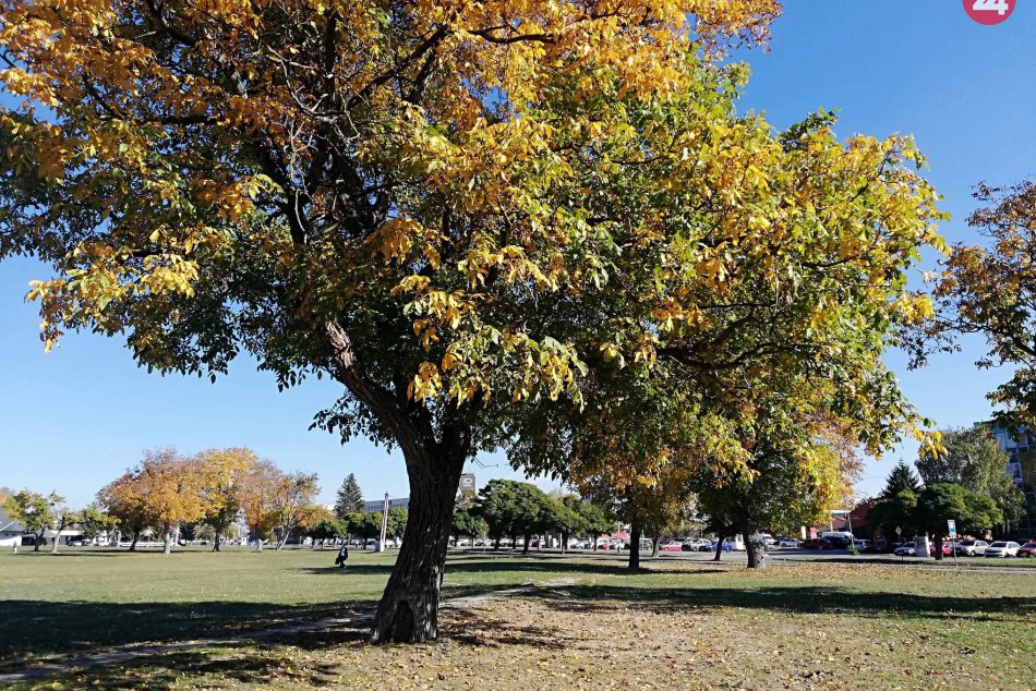 V Michalovciach už vo veľkom úraduje jeseň: Aj takéto pekné pohľady nám ponúka