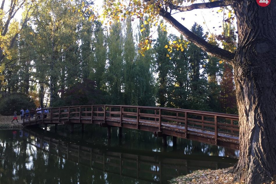 Pôvodná lávka v Mestskom parku bola v kritickom stave