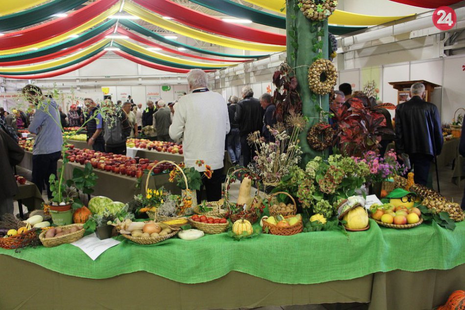 V OBRAZOCH: Výstava Jahrada – Senior Expo – Zdravie a harmónia 2018 v Trenčíne