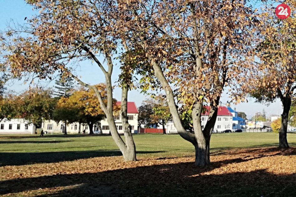 OBJEKTÍVOM: Park v Michalovciach? Ľudia v ňom zbierajú chutný dar prírody