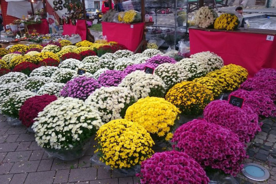 V OBRAZOCH: Príležitostný trh k Pamiatke zosnulých v Bystrici