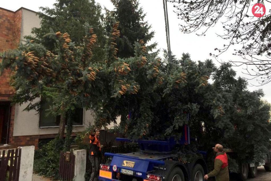 Vianočný stromček na Hlavnom námestí
