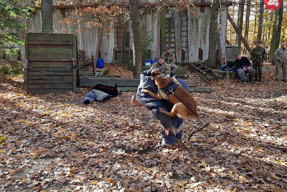 Novozámockí psovodi sa zúčastnili cvičenia v Prahe