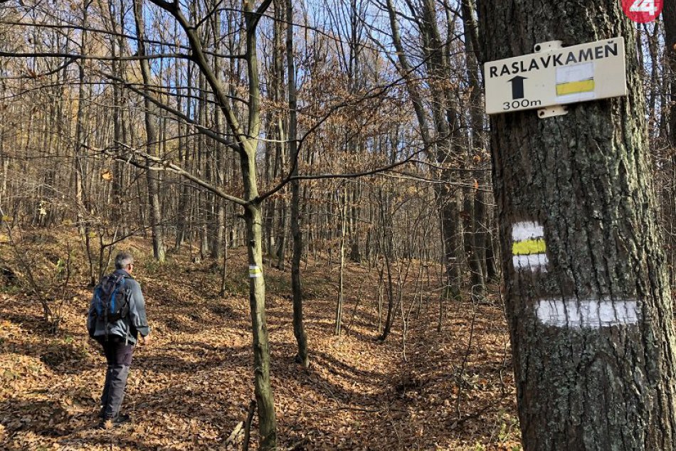 Raslavkameň v lese nad obcou Abranovce