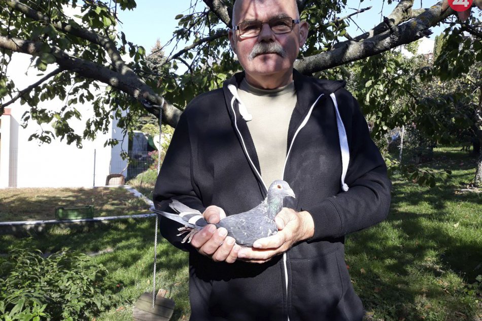 V minulosti vyšetroval zavlečenie prezidentovho syna, dnes chová holuby