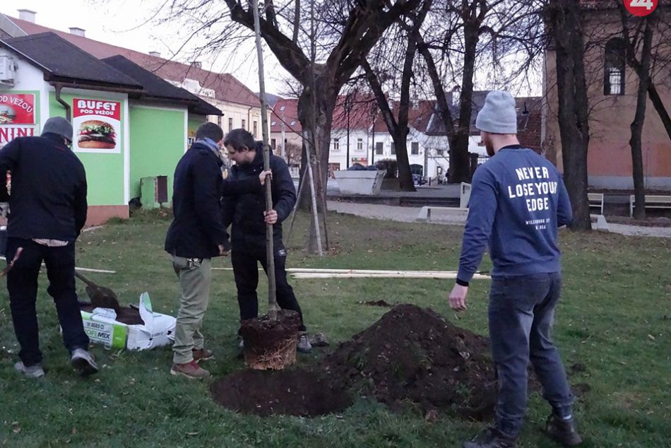 Obrazom: V Rožňave zasadili Strom slobody