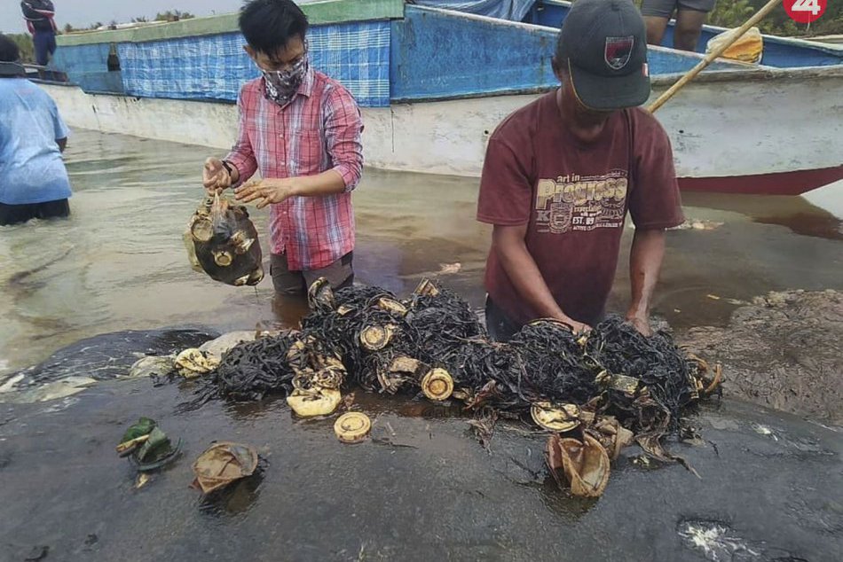 V žalúdku mŕtveho vorvaňa našli takmer 6 kíl plastov