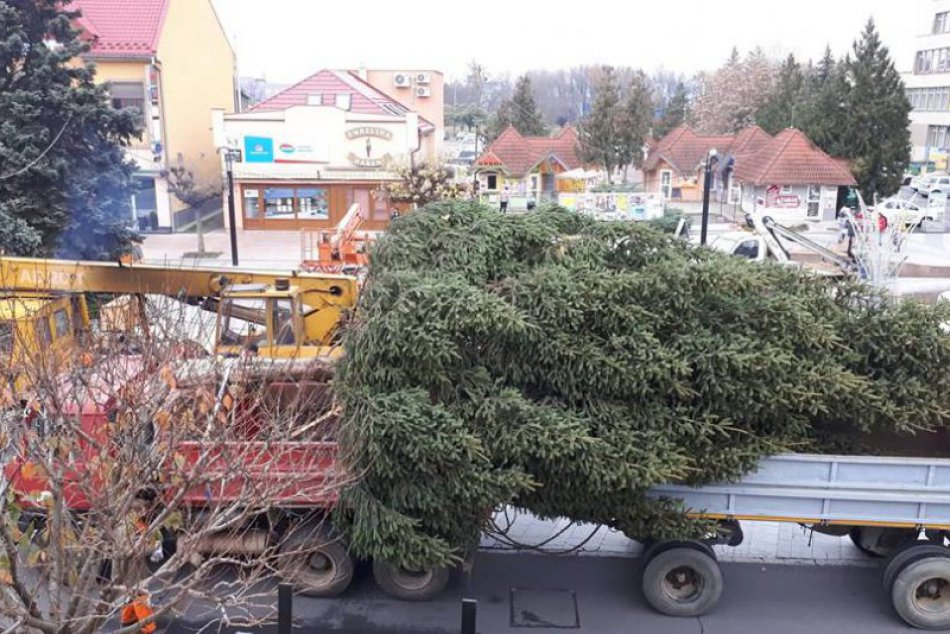 Ako sa vám páči? V centre Michaloviec už osadili vianočný stromček