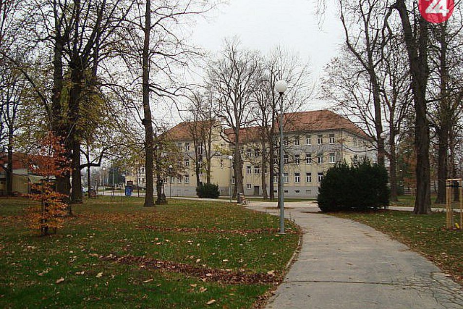 V OBRAZOCH: Obnova zelene v Parku M. R. Štefánika