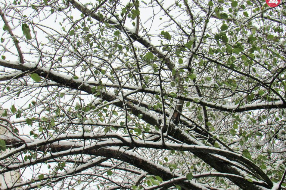 Vybrali sme sa do ulíc: Perinbaba dodala Prešovu zimnú atmosféru