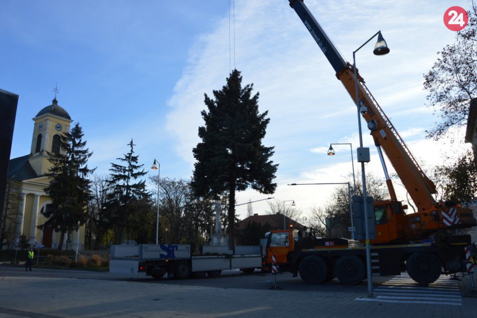 FOTO, Zelené symboly Vianoc už osádzajú: Stromčeky spríjemnia predsviatočnú atmo