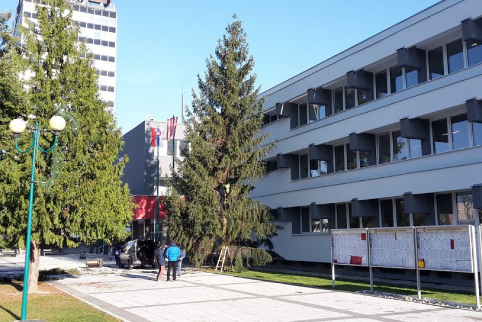 Vianočný stromček v Považskej už stojí: Ide o tento 16-metrový smrek