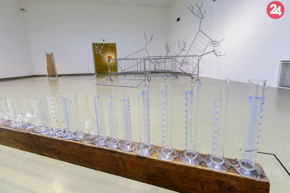 Výstava v Kunsthalle