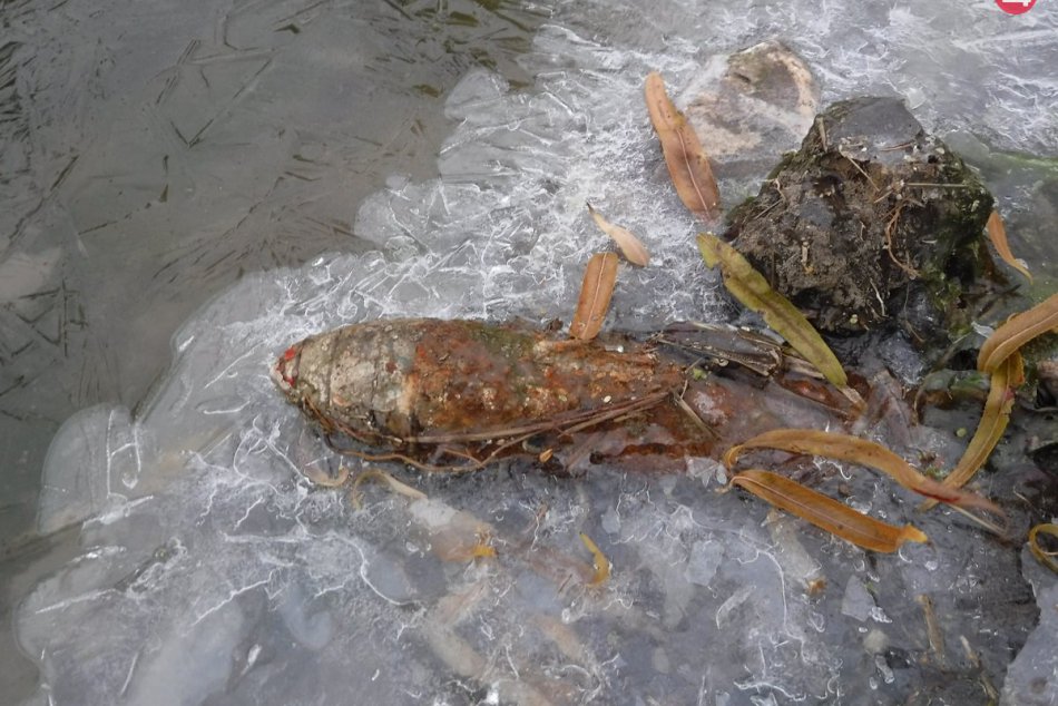 Rušno v Dražovciach: V potoku ležala ruská neriadená strela z 2. svetovej vojny,