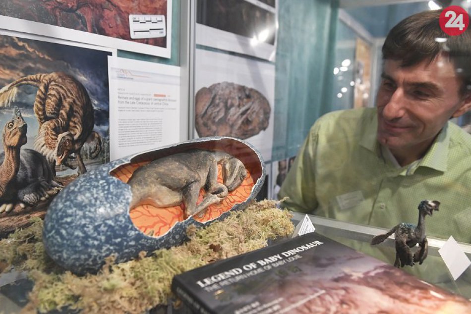 Unikátne objavy košických paleontológov