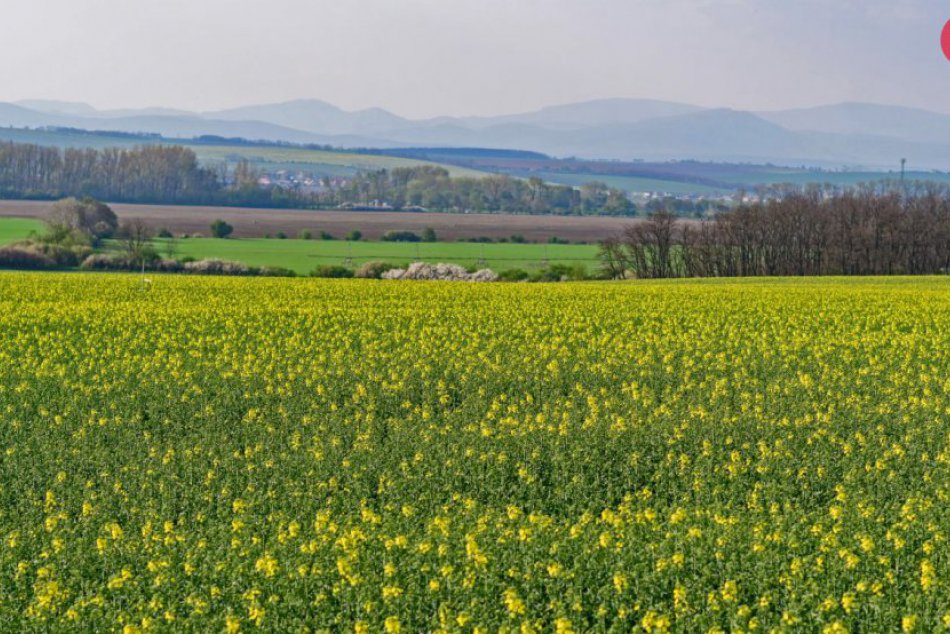 Obec Solčany
