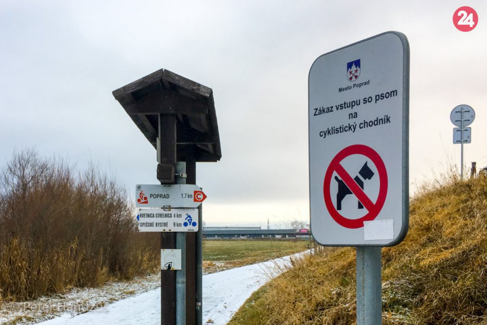 Viceprimátor Kavka môže mať problém. Podľa poľovníkov strhli jeho psy srnu