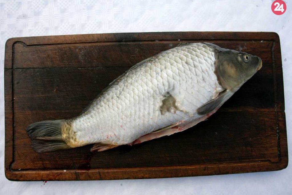 Vykosťovanie kapra - fotorecept