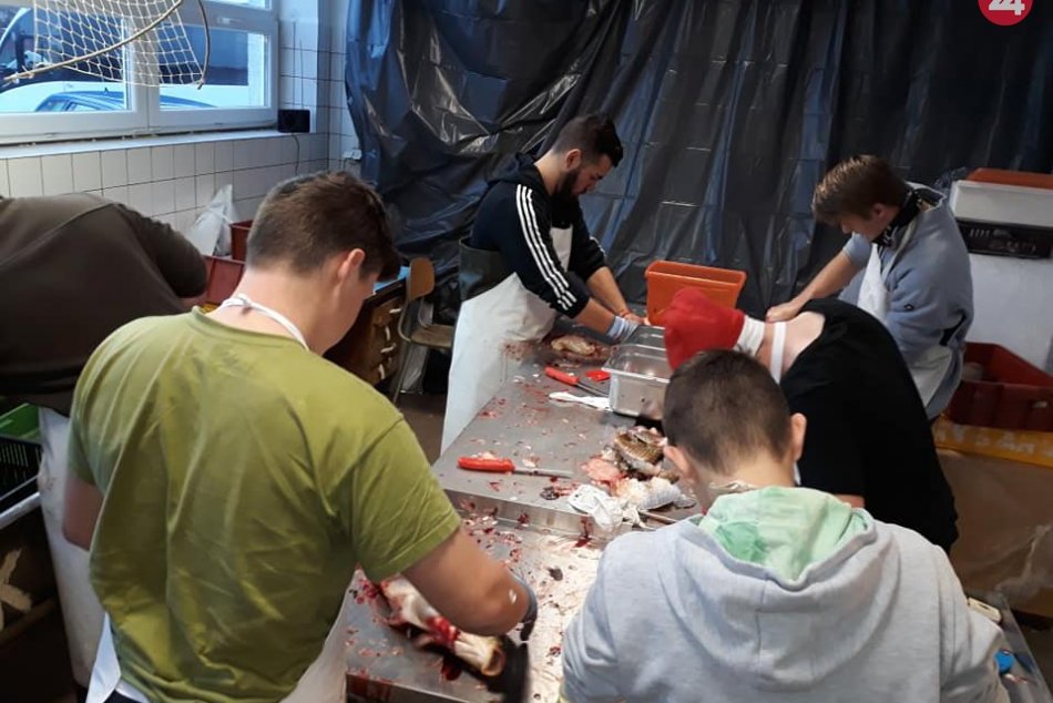 Ryby, vianočný kapor