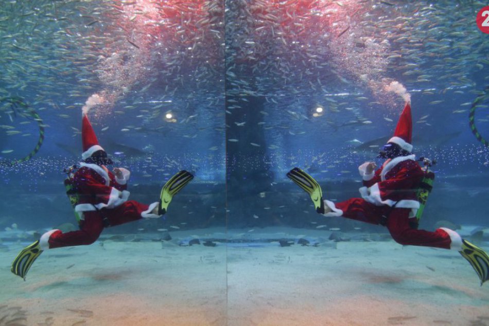 Do Južnej Kórei dorazil Santa, zaplával si s rybami v akváriu