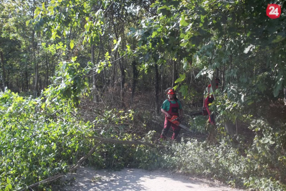 Mesto Šaľa spustilo vlani veľa projektov: Ktoré už splnili a čo chcú dotiahnuť?