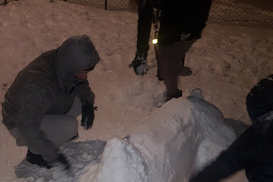FOTO, KURIOZITA hodná obdivu: Na šalianskom sídlisku majú snežného psa