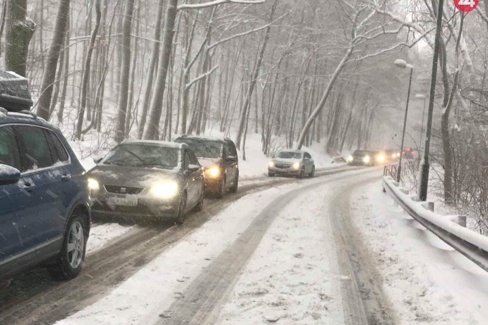 Kamzík po snehovej nádielke 5. 1. 2019