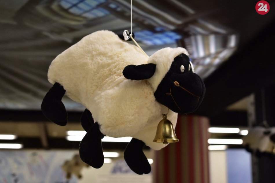 Výstava Až naprší a uschne