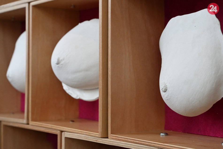 Ostře sledovaná prsa ve V4