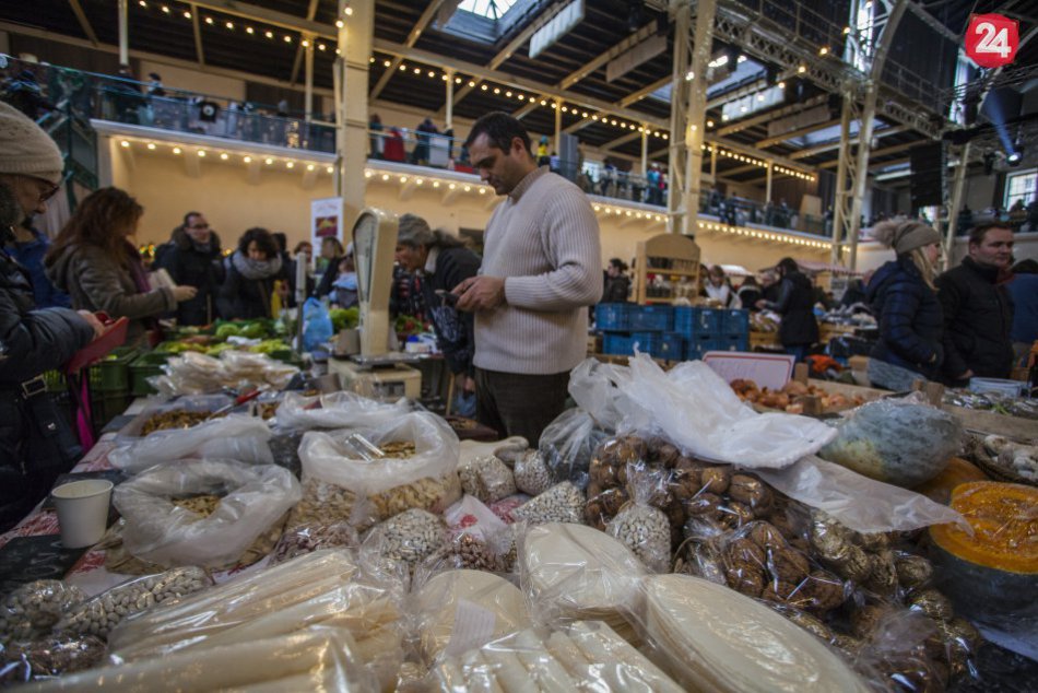 Kam v Bratislave zadarmo