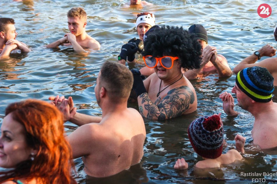 Ľadové medvede sa v Nitre ponorili do vôd miestneho rybníka