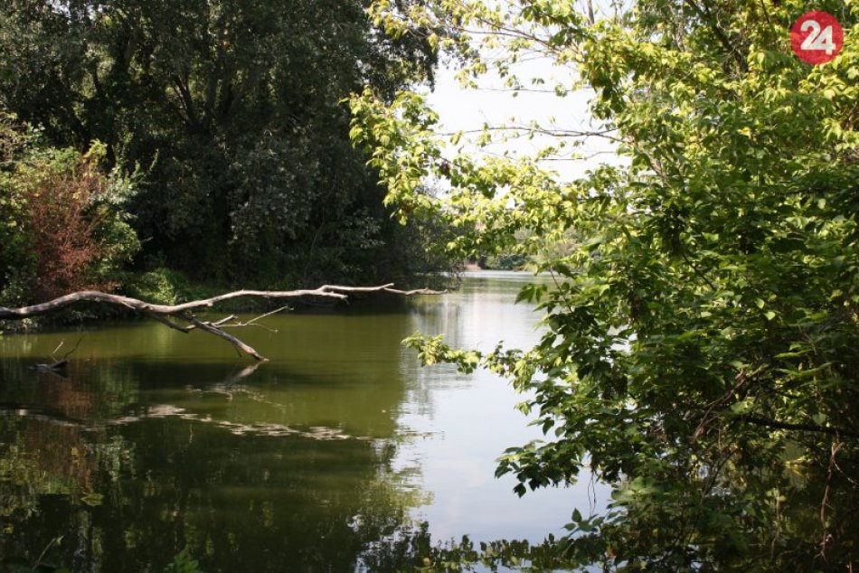 Fotogaléria: Mesto Nové Zámky