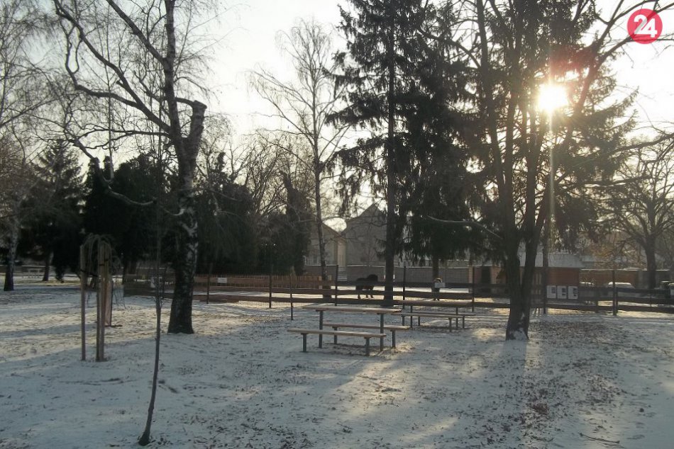 FOTO, Zvieratám v parku neprospieva dokrmovanie: Návštevníkov chcú vítať zdravé
