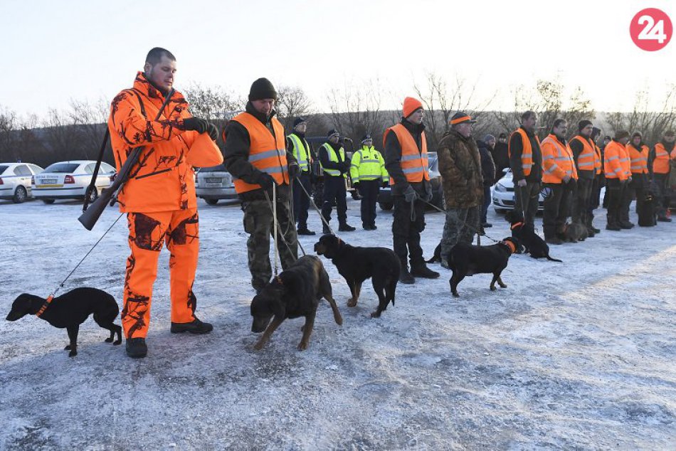 Hon na diviaky v košickej mestskej časti Ťahanovce