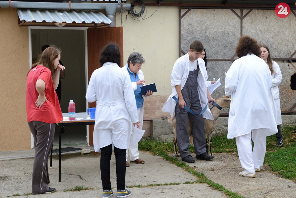 Stredná odborná škola veterinárna v Nitre