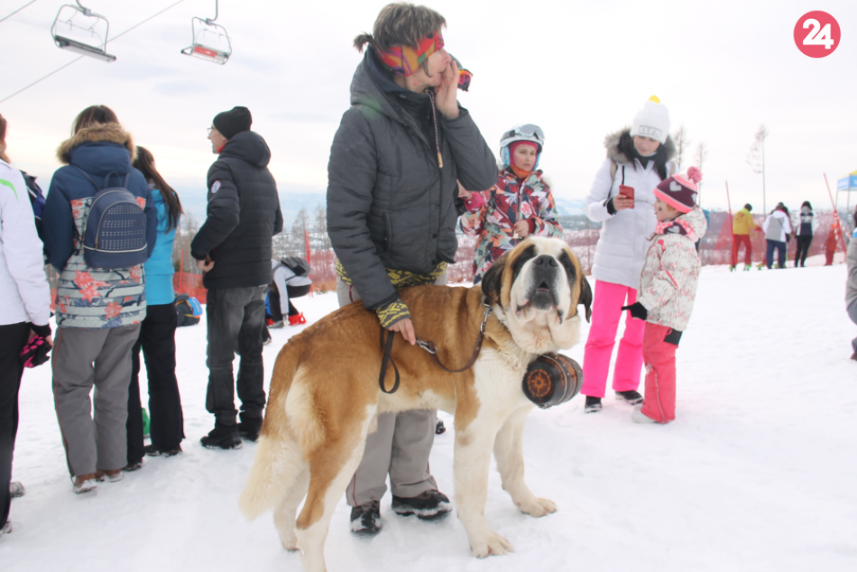 Pod Lomnický štít opäť zavítali snežné psy