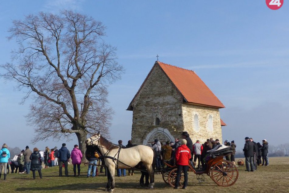 OBRAZOM: Kopčany navštívil britský lovec stromov