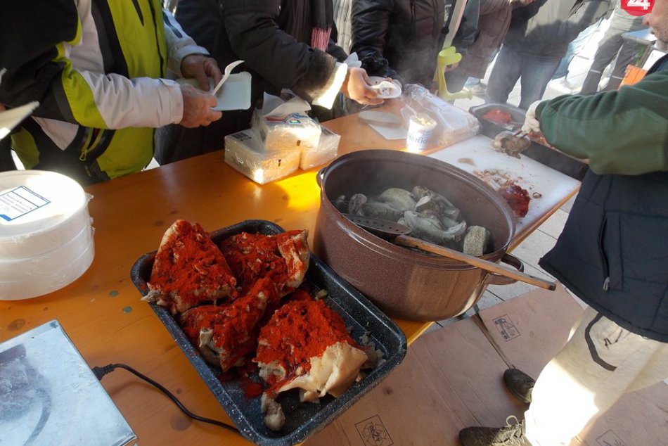 Kam v Bratislave zadarmo