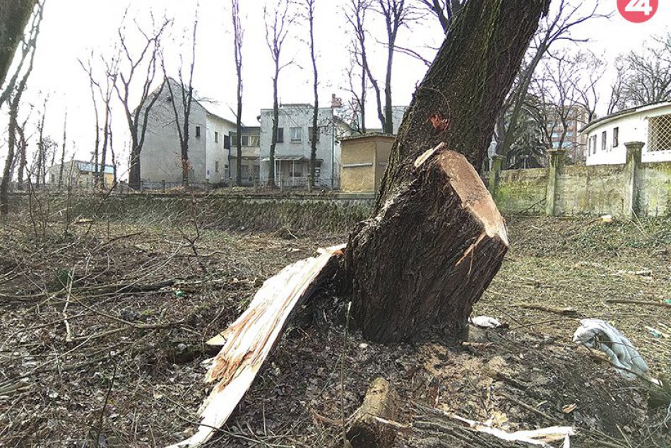 V okolí starej nemocnice došlo k výrubu desiatok stromov